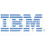 IBM100