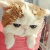 香港代购懒猫的慢生活馆的微博